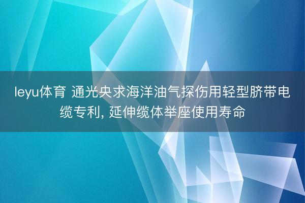 leyu体育 通光央求海洋油气探伤用轻型脐带电缆专利, 延伸缆体举座使用寿命