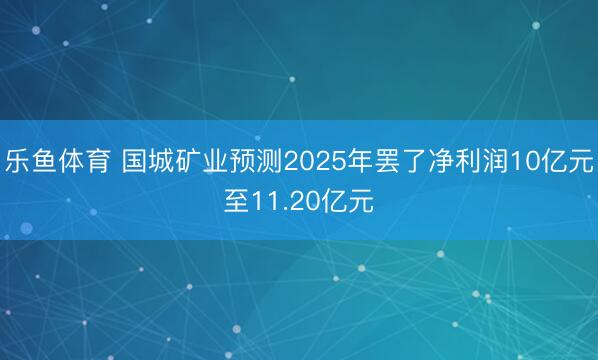 乐鱼体育 国城矿业预测2025年罢了净利润10亿元至11.20亿元