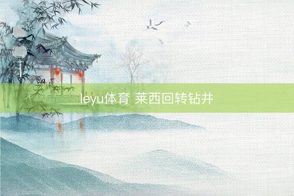 leyu体育 莱西回转钻井