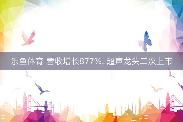 乐鱼体育 营收增长877%， 超声龙头二次上市