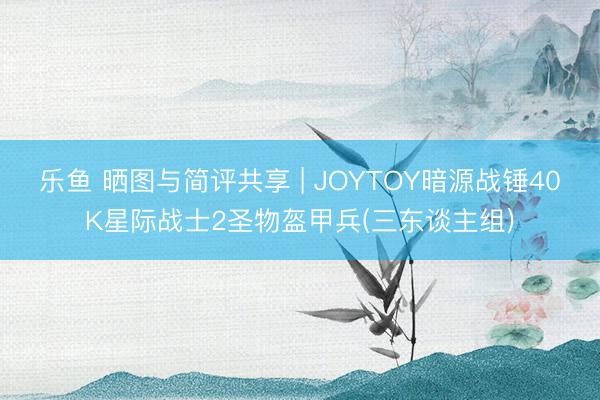 乐鱼 晒图与简评共享 | JOYTOY暗源战锤40K星际战士2圣物盔甲兵(三东谈主组)