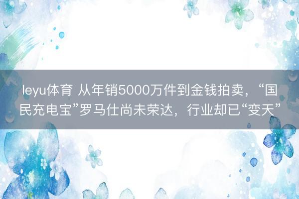 leyu体育 从年销5000万件到金钱拍卖,“国民充电宝”罗马仕尚未荣达,行业却已“变天”