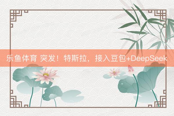 乐鱼体育 突发！特斯拉，接入豆包+DeepSeek